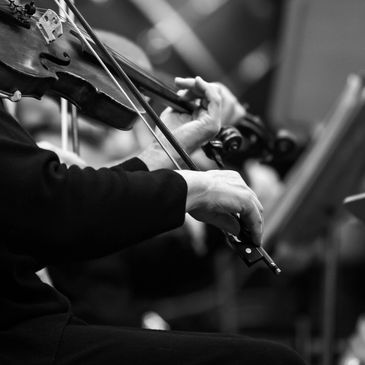 Musicians